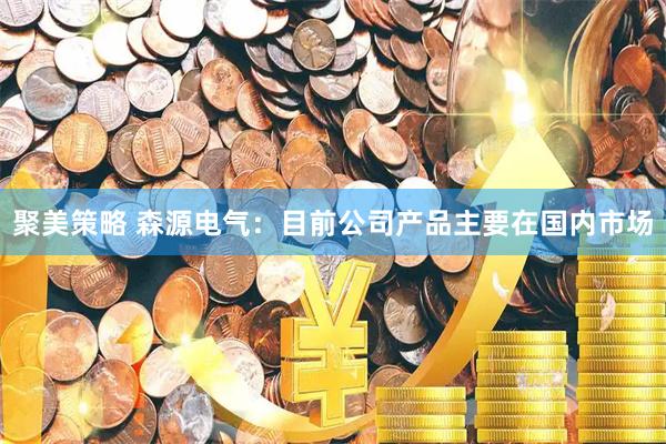 聚美策略 森源电气：目前公司产品主要在国内市场