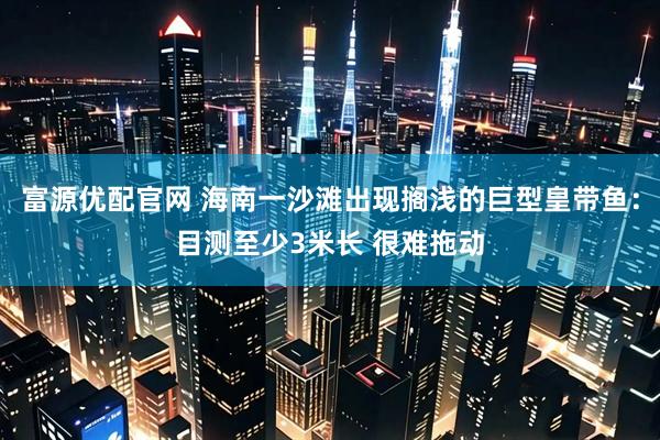富源优配官网 海南一沙滩出现搁浅的巨型皇带鱼：目测至少3米长 很难拖动